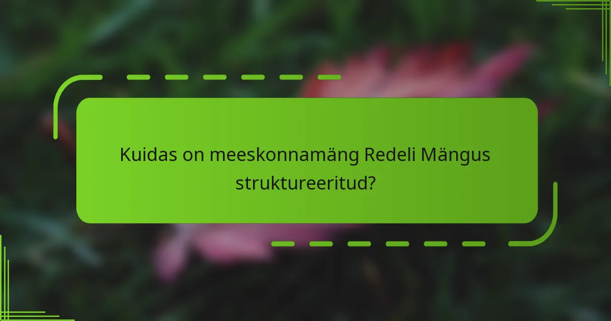 Kuidas on meeskonnamäng Redeli Mängus struktureeritud?