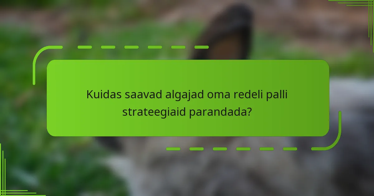 Kuidas saavad algajad oma redeli palli strateegiaid parandada?