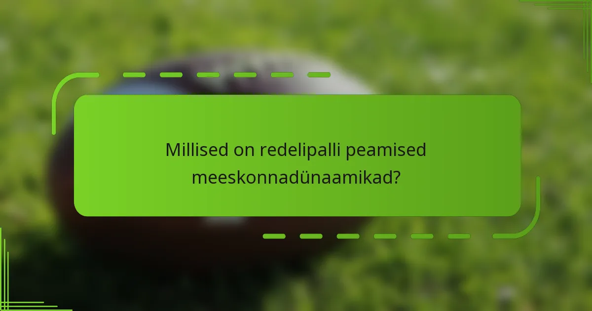 Millised on redelipalli peamised meeskonnadünaamikad?