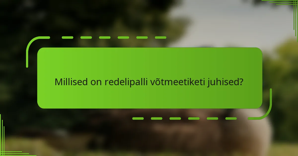 Millised on redelipalli võtmeetiketi juhised?