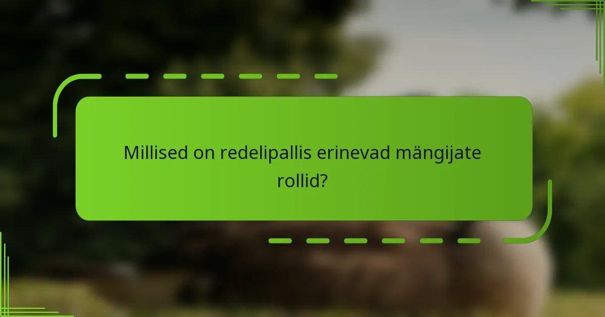 Millised on redelipallis erinevad mängijate rollid?